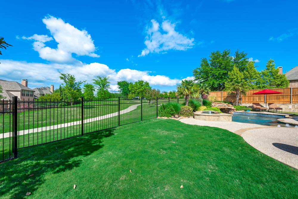    Serene Backyard 