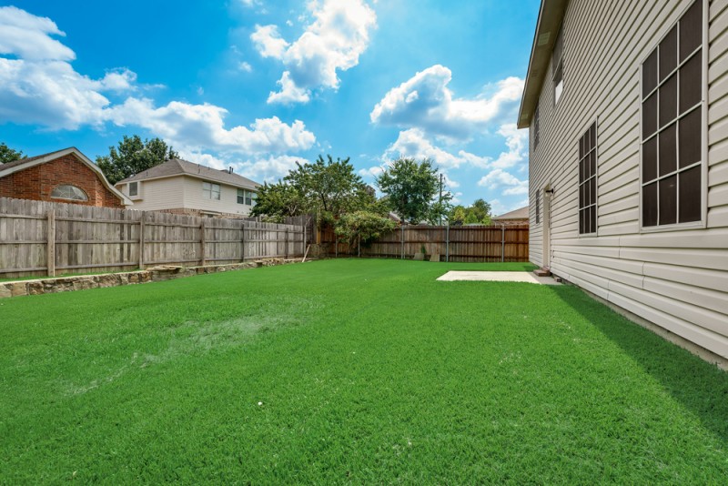    Grassy Backyard 