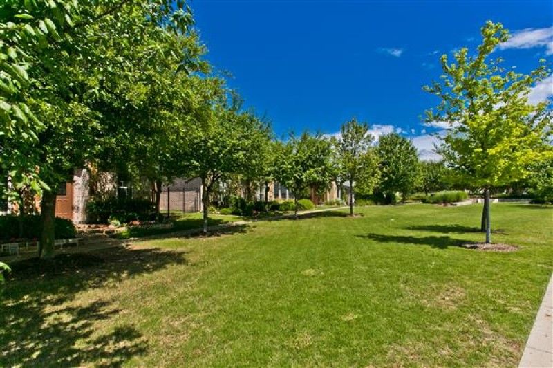    Beautiful Park entrance to home 