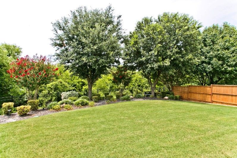    View of Heavily Treed Greenbelt  and Creek 