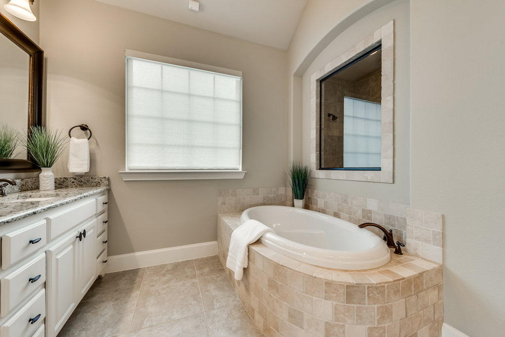    Spa Like Master Bath 