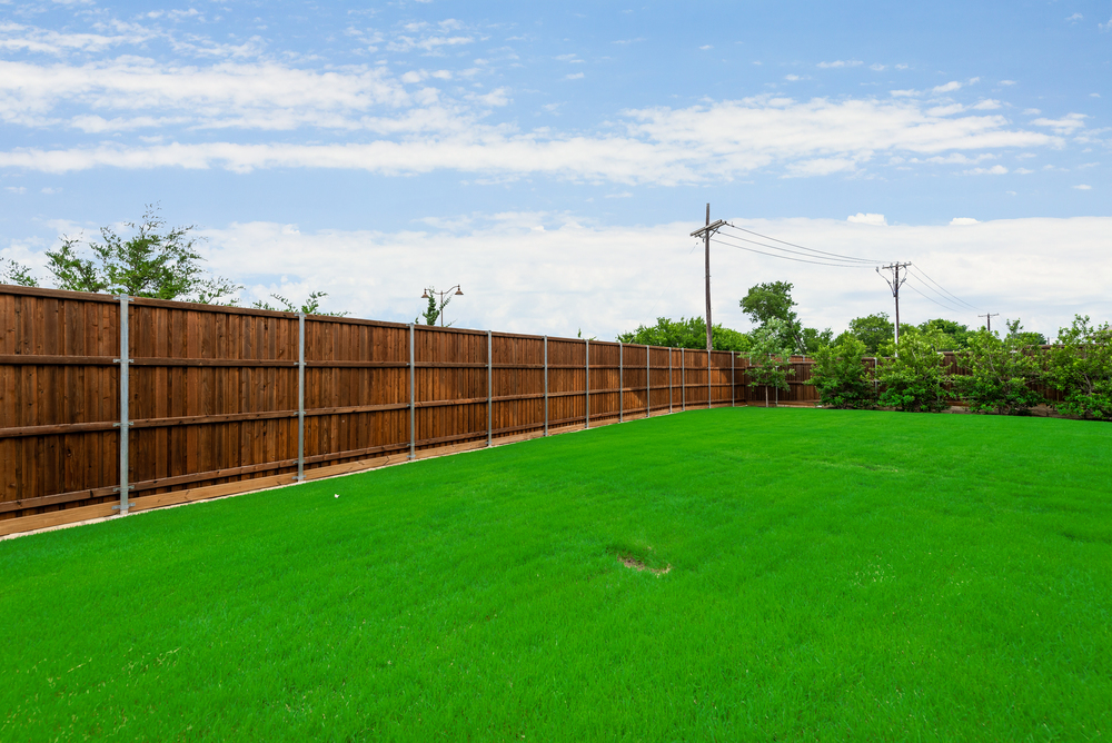    Grassy Backyard with Board on Board Fencing 