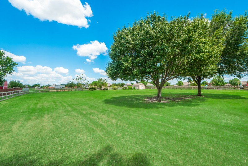    Sprawling Backyard 