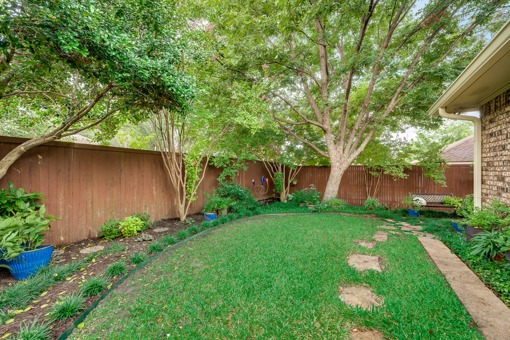    Grassy Backyard 