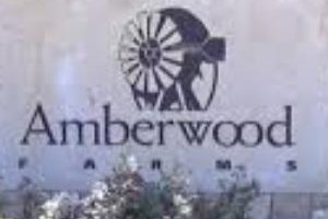 Amberwood Farms in Prosper Texas