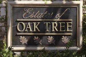 Oak Tree, North Dallas